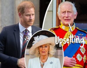 Breaking News:Prince Harry goes viral with scathing two-word remark about Queen Camilla