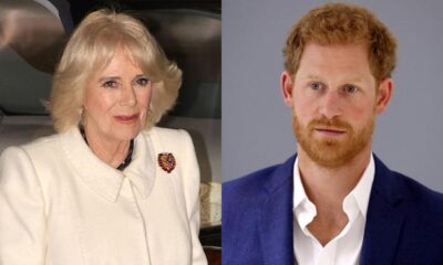 JUST IN: Prince Harry goes viral with scathing two-word remark about Queen Camilla...see more