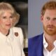 JUST IN: Prince Harry goes viral with scathing two-word remark about Queen Camilla...see more