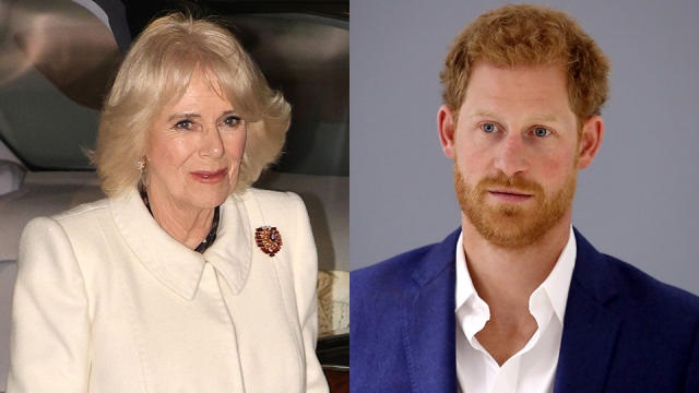 JUST IN: Prince Harry goes viral with scathing two-word remark about Queen Camilla...see more