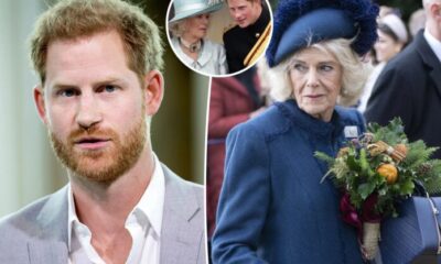 Breaking News:Prince Harry goes viral with scathing two-word remark about Queen Camilla