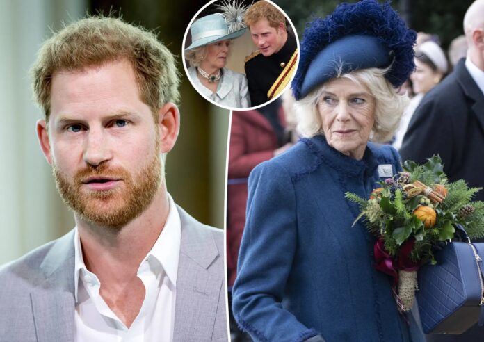 Breaking News:Prince Harry goes viral with scathing two-word remark about Queen Camilla