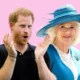 Breaking News: Prince Harry goes viral with scathing two-word remark about Queen Camilla...