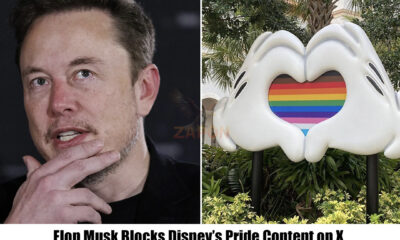 Breaking News: Elon Musk Blocks Disney’s Pride Content on X, Says ‘Woke’ Isn’t for Kids – mega