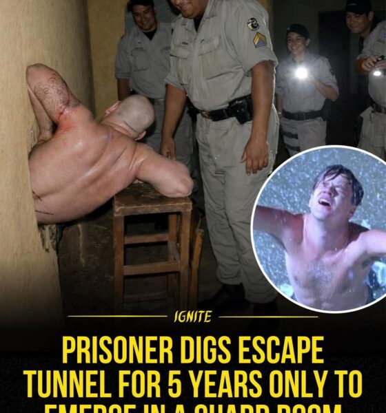 Breaking News: Maybe he didn’t have a Red… or maybe hope wasn’t the best of things this time.In Brazil, a prisoner reportedly spent nearly five years secretly digging a tunnel in an attempt to escape from a heavily guarded prison. Day after day, he slowly carved through the prison’s foundations, determined to crawl his way to freedom....see more